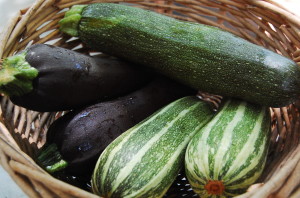 Zucchini-Squash