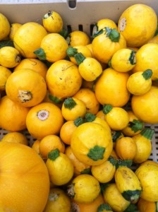 yellow round squash.JPG