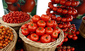 A-display-of-tomatoes-001