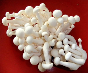 enoki-mushrooms
